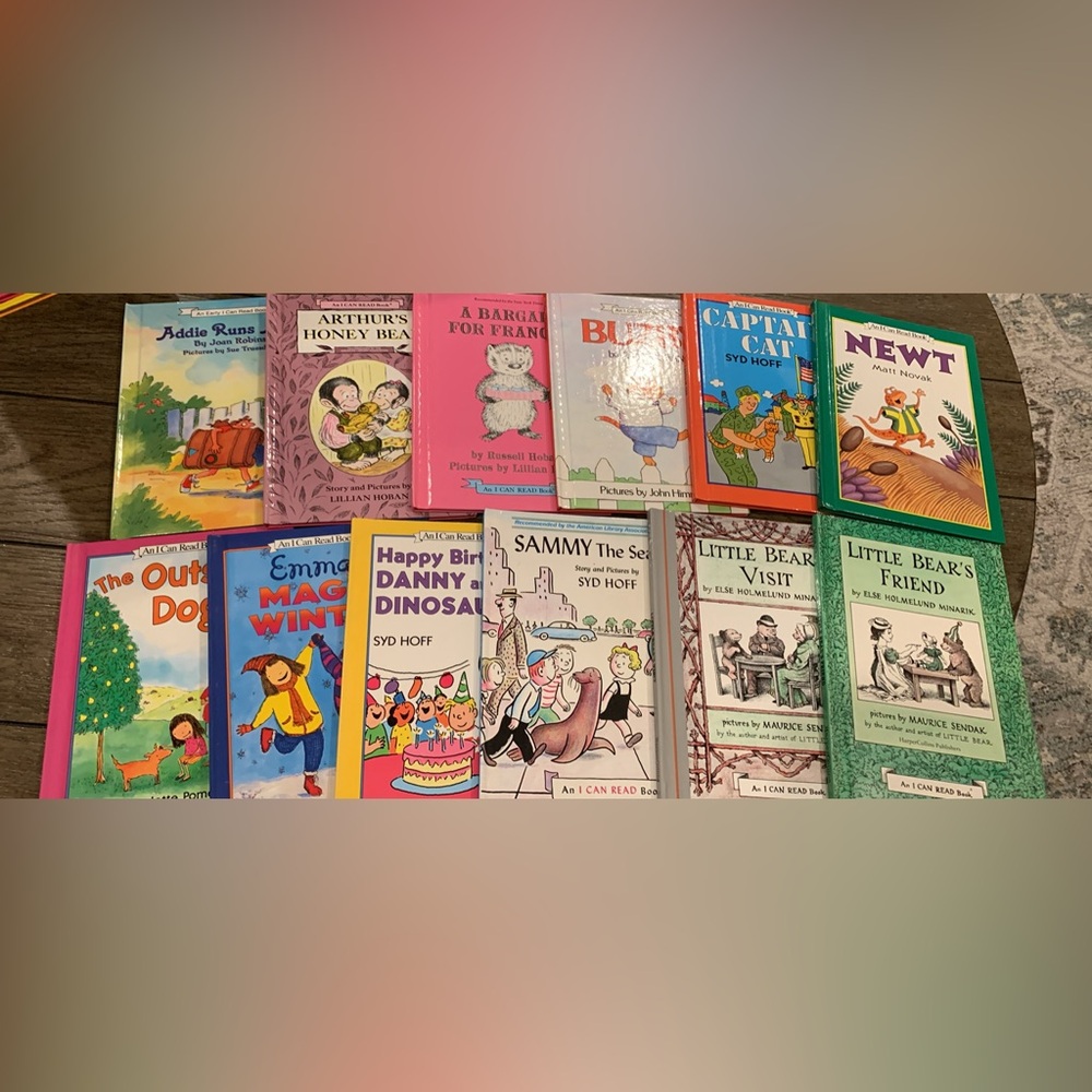 Early reader book bundle